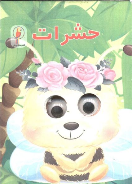 چشمی حشرات