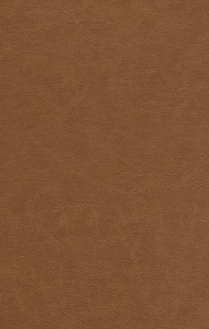 کلیات سعدی آسان خوان (چرم)