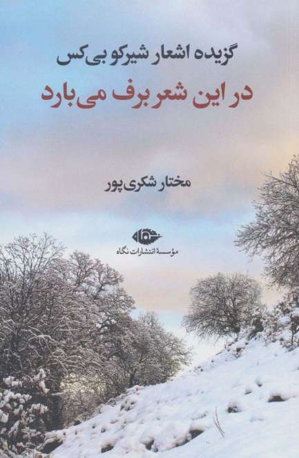 در این شعر برف می بارد (گزیده اشعار شیرکو بی کس)