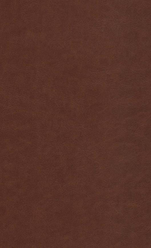دیوان حافظ (2زبانه،چرم)