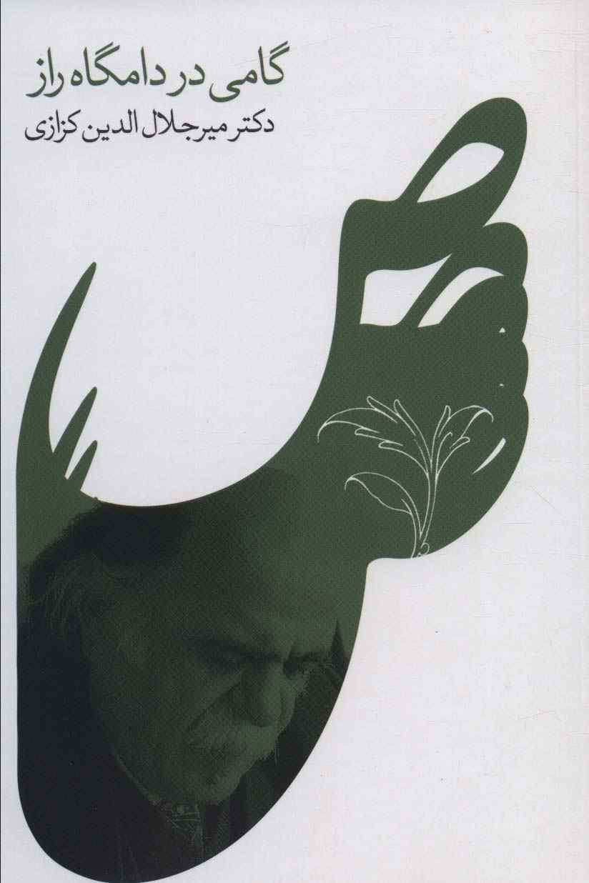 گامی در دامگاه راز