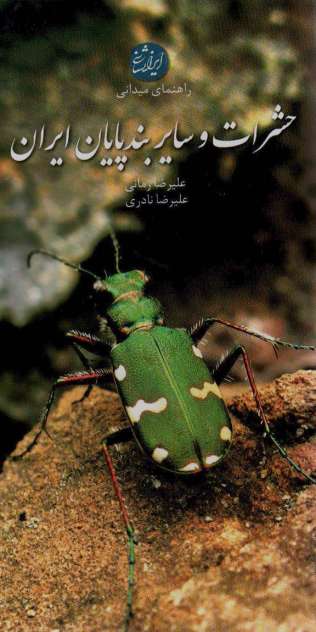 راهنمای میدانی حشرات و سایر بندپایان ایران (گلاسه)
