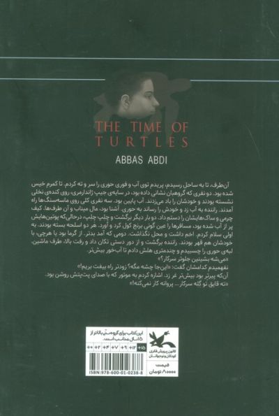 هنگام لاک پشت ها (رمان نوجوان امروز)