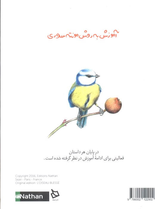 پرنده ی مجروح (آموزش به روش مونته سوری)
