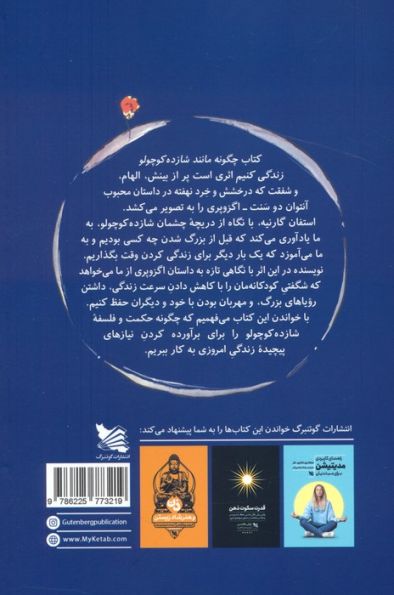 چگونه مانند شازده کوچولو زندگی کنیم