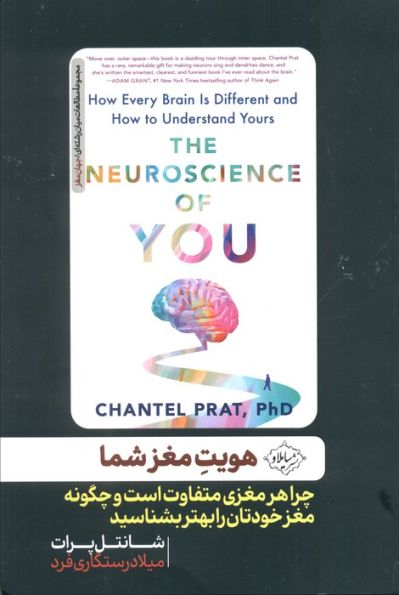 هویت مغز شما (چرا هر مغزی متفاوت است و چگونه مغز خودتان را بهتر بشناسید)