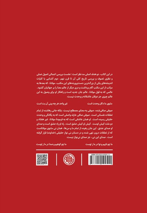 صوفی صافی (درآمدی بر شناخت اندیشه های مولانا)