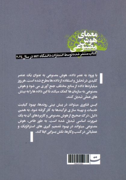 معمای هوش مصنوعی (به کارگیری قدرت هوش مصنوعی برای سازمان شما به صورت سودآور و ایمن)