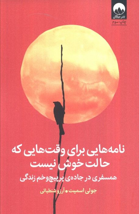 نامه هایی برای وقت هایی که حالت خوش نیست (همسفری در جاده ی پرپیچ و خم زندگی)