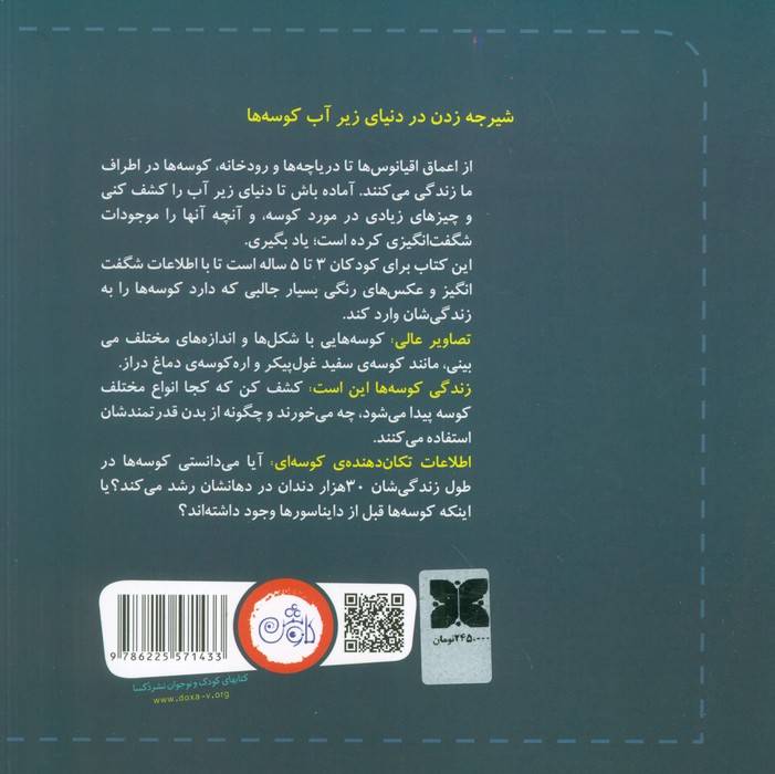 اولین کتاب من کوسه ها (همه چیز درباره ی بزرگترین ماهی های دریا برای کودکان)