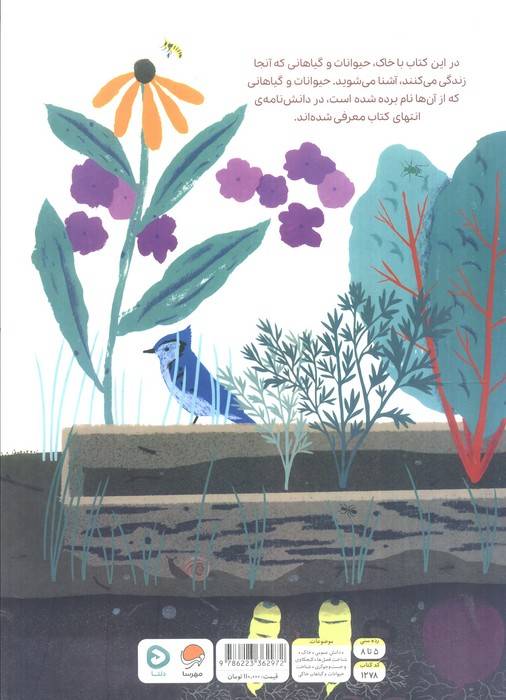 بالا روی خاک پایین توی خاک (مجموعه ی بالا و پایین)