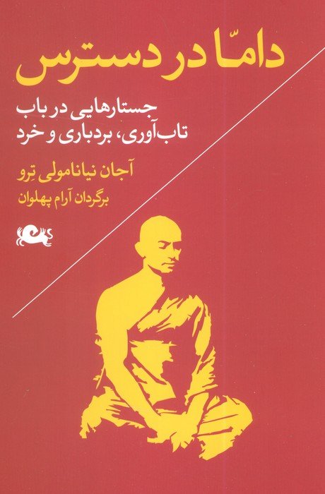 داما در دسترس (جستارهایی در باب تاب آوری،بردباری و خرد)