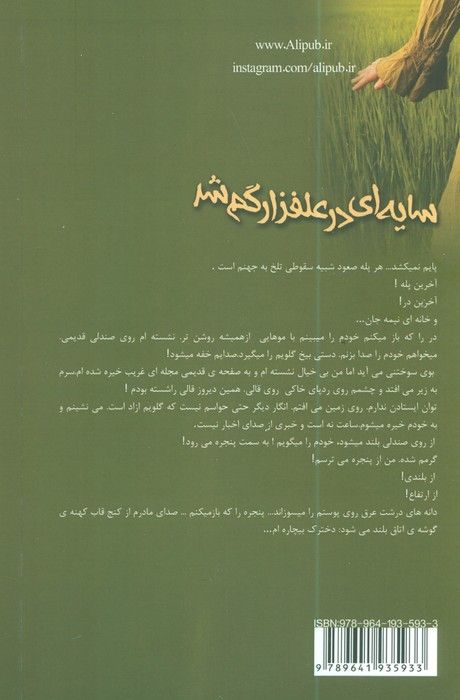 سایه ای در علفزار گم شد