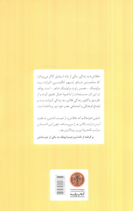 فلاش (یک سرگذشت)