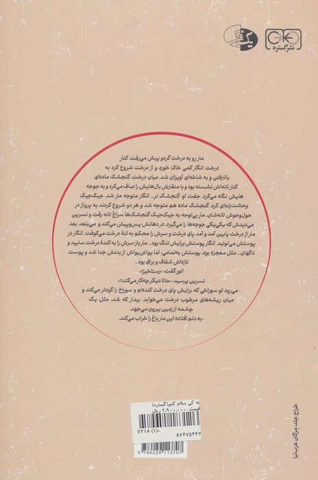 به کی سلام کنم؟