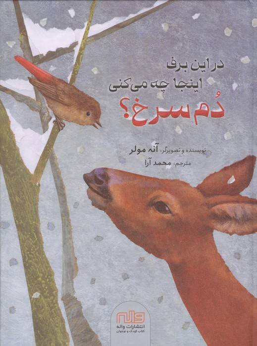 در این برف اینجا چه می کنی دم سرخ؟
