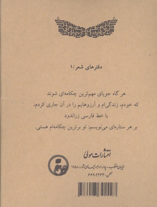 گواهی می دهم هیچ زنی نیست جز تو