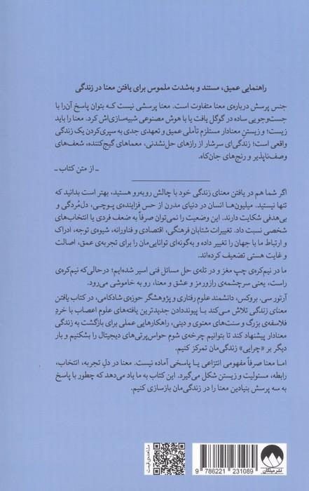 یافتن معنای زندگی (جست و جوی هدف در عصر پوچی)