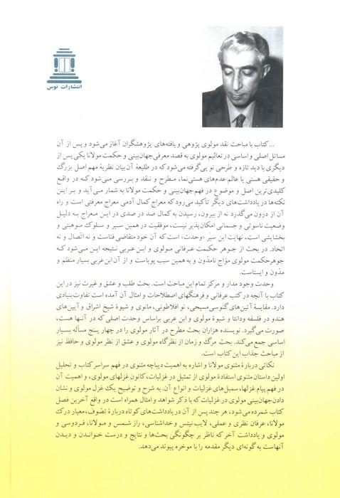 جهان بینی و حکمت مولانا