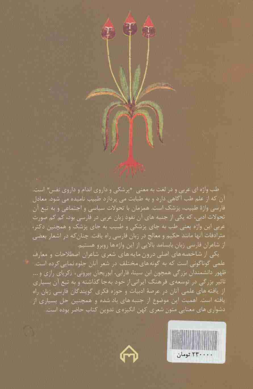 طب و مضامین طبی و بازتاب آن در ادب فارسی