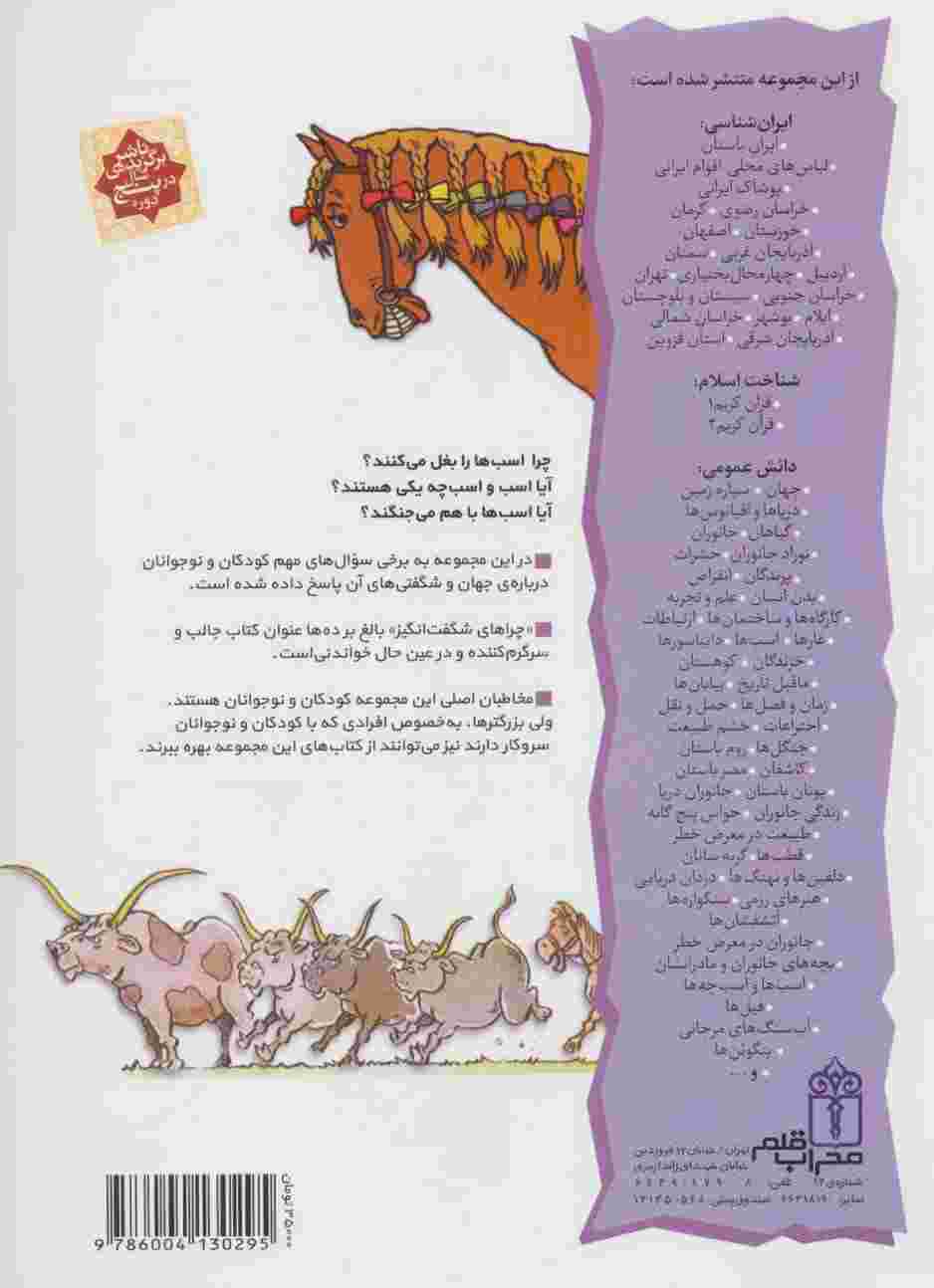 اسب ها و اسب چه ها (چراهای شگفت انگیز)