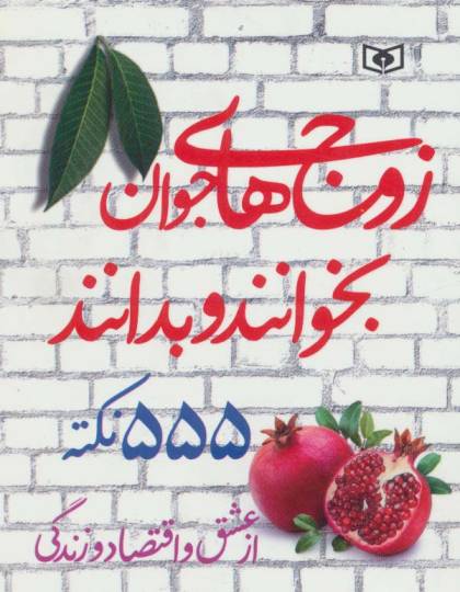 زوج های جوان بخوانند و بدانند (555 نکته از عشق و اقتصاد و زندگی)