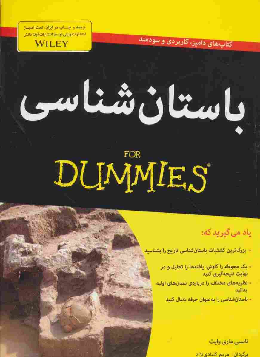 کتاب های دامیز (باستان شناسی)