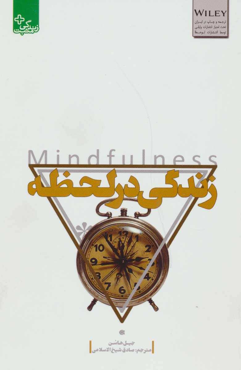 زندگی در لحظه (زندگی مثبت)