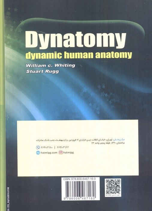 آناتومی حرکتی
