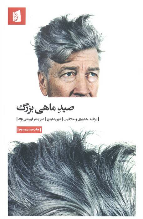 صید ماهی بزرگ (مراقبه،هشیاری و خلاقیت)