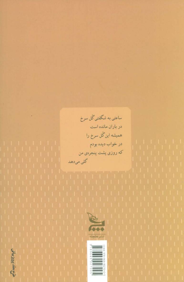 آوازخوان آوازش را در باران تا سپیده ادامه داد