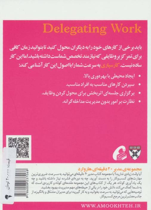 مدیر 20 دقیقه ای (کارسپاری)