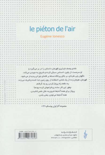 پیاده در هوا