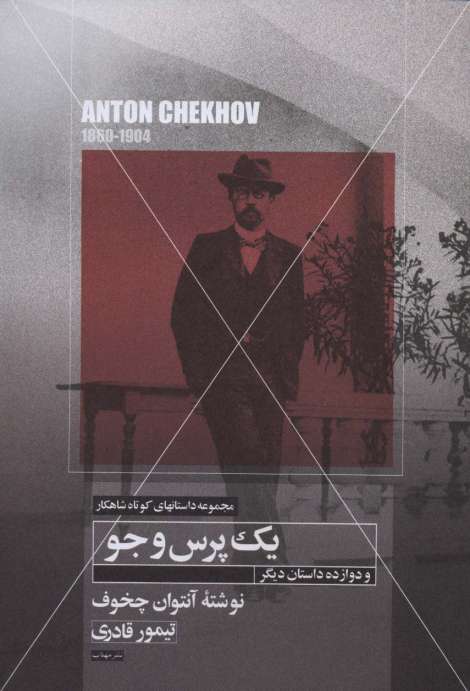 یک پرس و جو و دوازده داستان دیگر (داستانهای کوتاه شاهکار23)