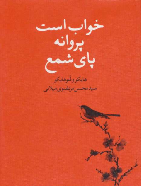 خواب است پروانه پای شمع (هایکو و فتوهایکو)
