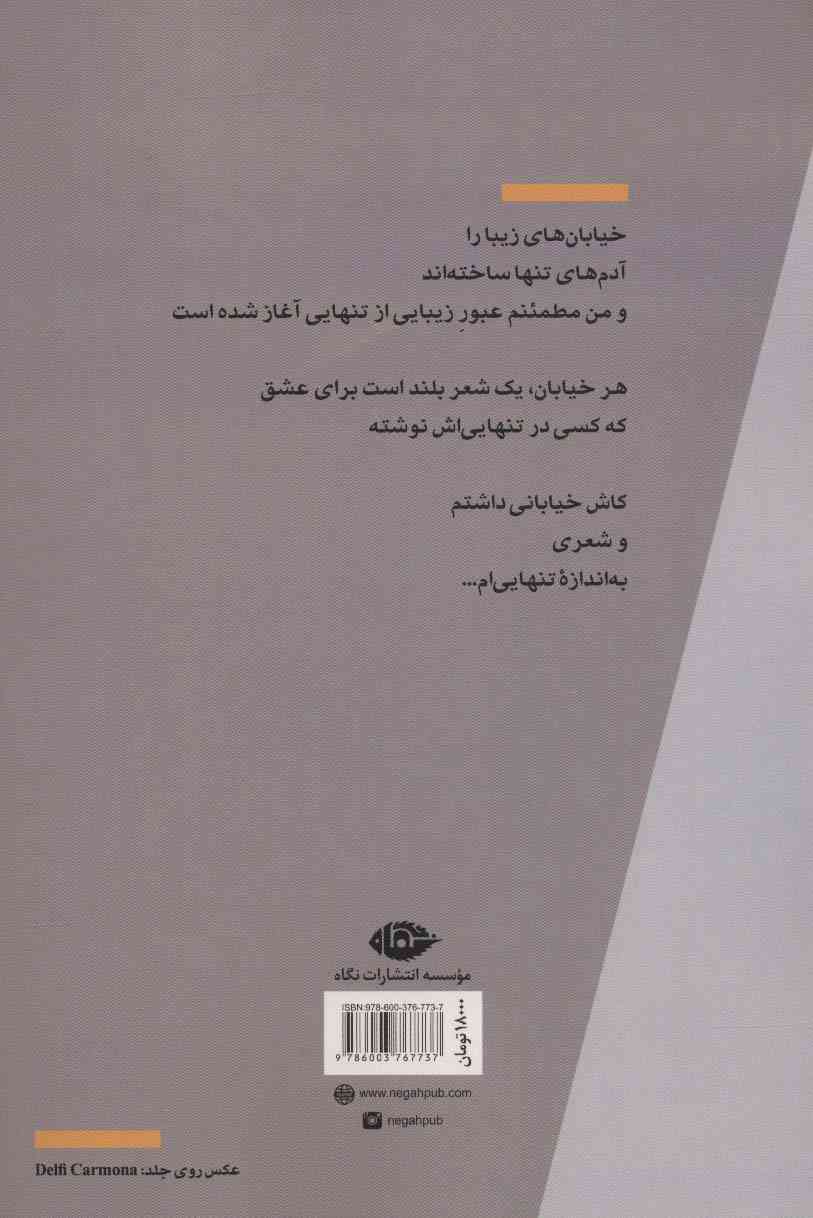 عبور زیبایی از تنهایی (مجموعه شعر)