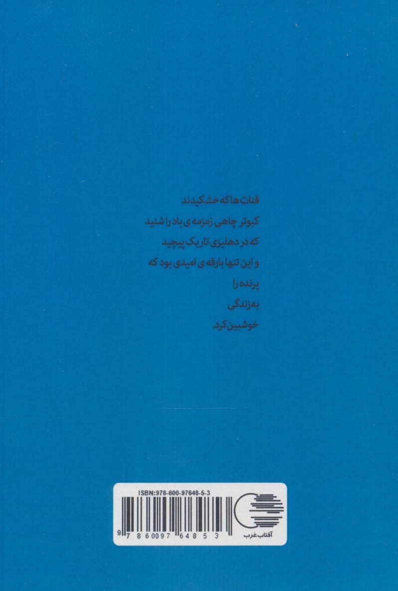 می گویم می گوید (مجموعه شعر سپید)
