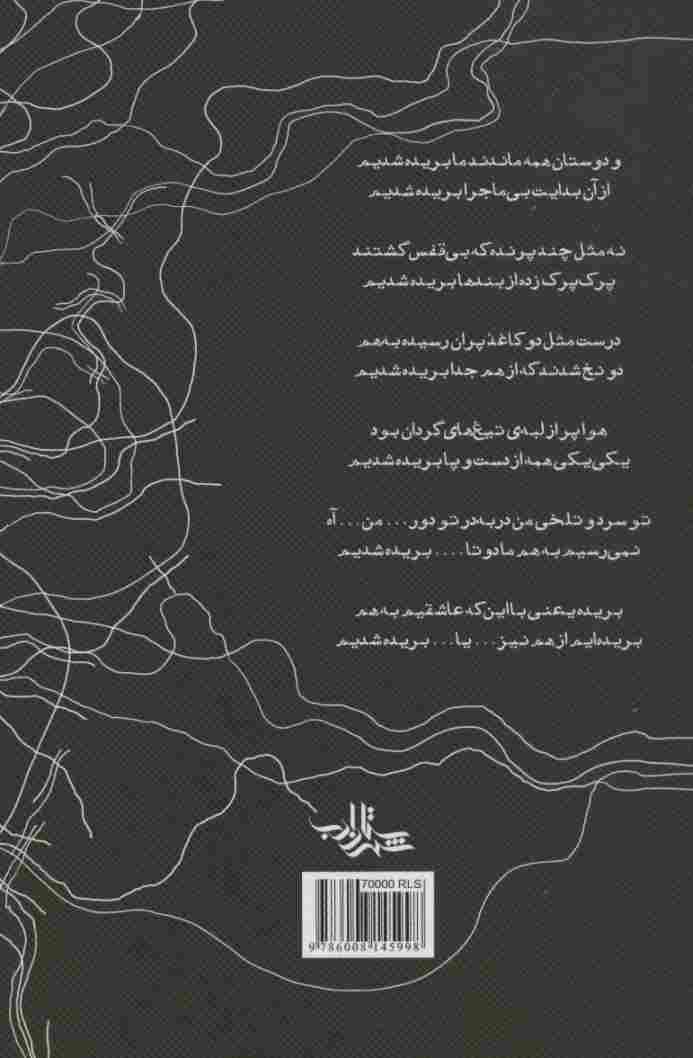 روح اندوهگین یک شاعر