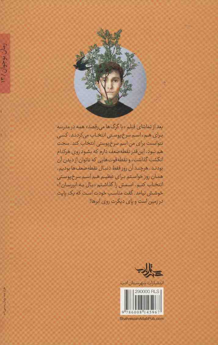 روی سیم تار (رمان نوجوان13)