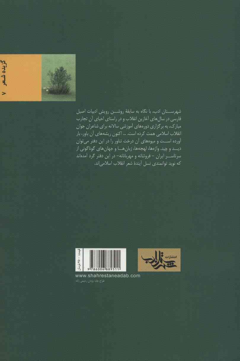 یک دشت دویدن (گزیده شعر جوان 2)