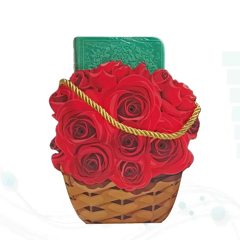 دیوان حافظ پالتویی چرم با ساک طرح سبد گل