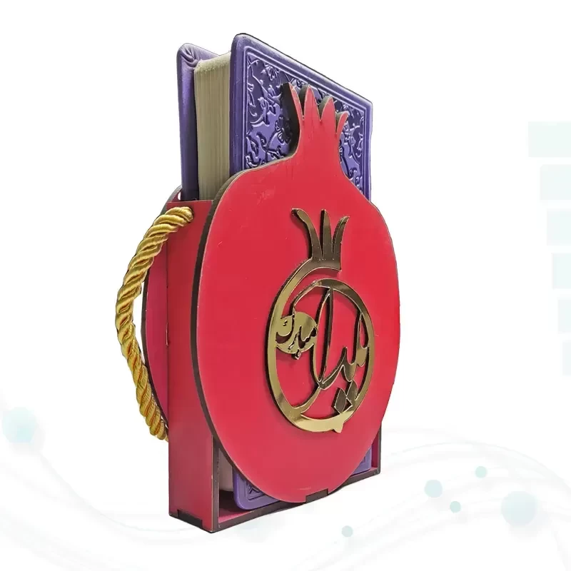 حافظ پالتویی چرم با ساک طرح انار
