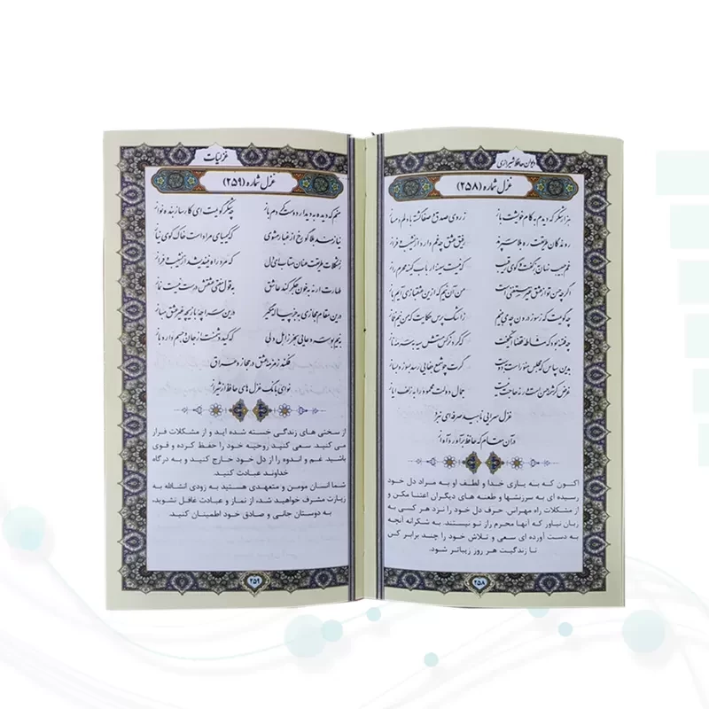 حافظ پالتویی چرم همراه با تندیس مقبره