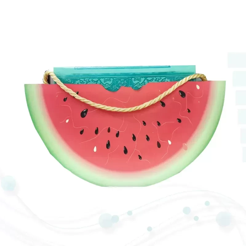 حافظ پالتویی چرم با ساک طرح هندوانه