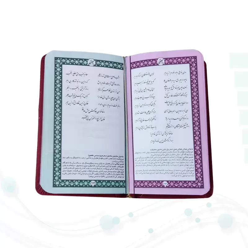 حافظ پالتویی چرم با ساک طرح هندوانه