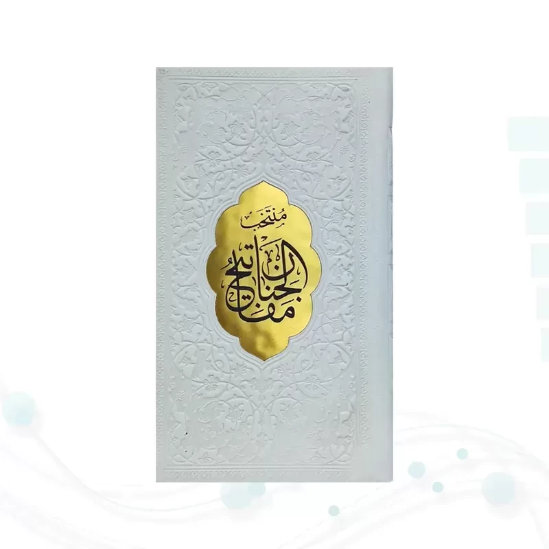 منتخب مفاتیح پالتویی داخل رنگی چرم پلاک طلایی