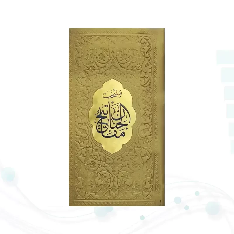 منتخب مفاتیح پالتویی داخل رنگی چرم پلاک طلایی