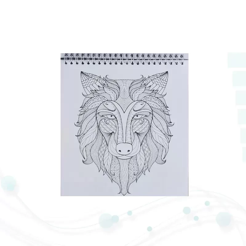 کتاب رنگ آمیزی داوینچی