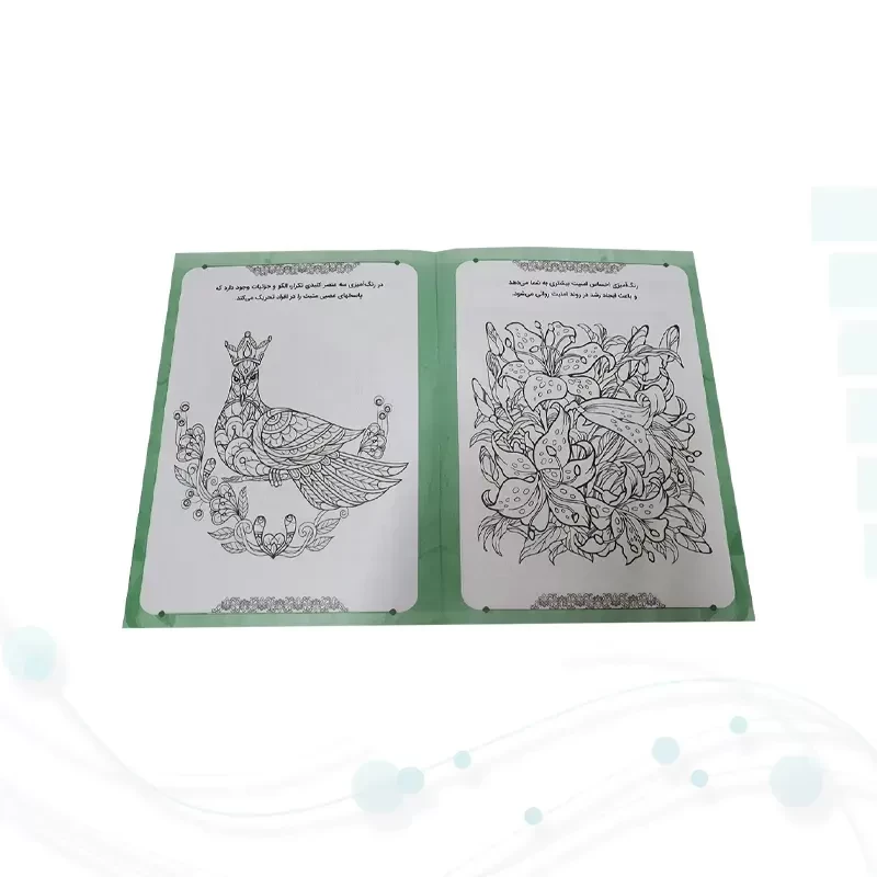 رنگ آمیزی بزرگسالان شومیز