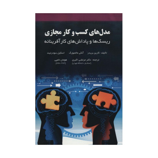 مدل های کسب و کار مجازی (ریسک ها و پاداش های کار آفرینانه)